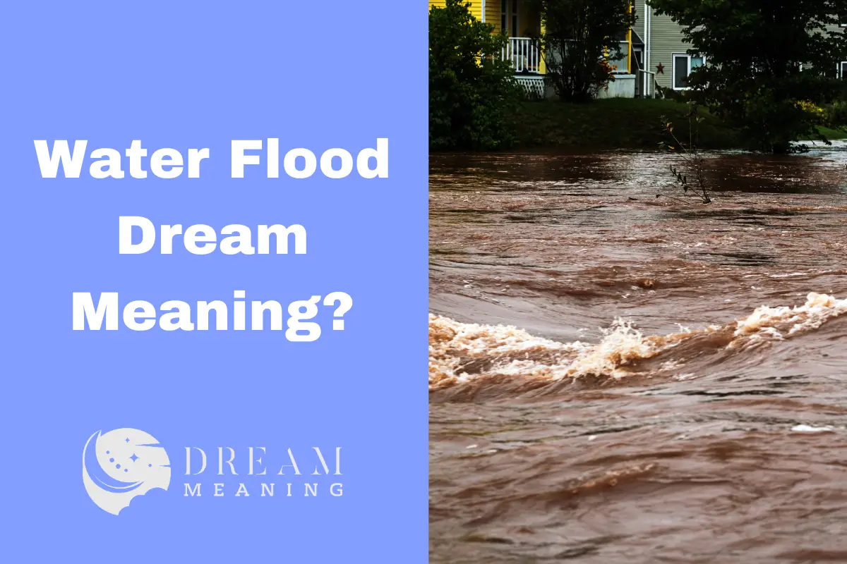 flood dream meaning