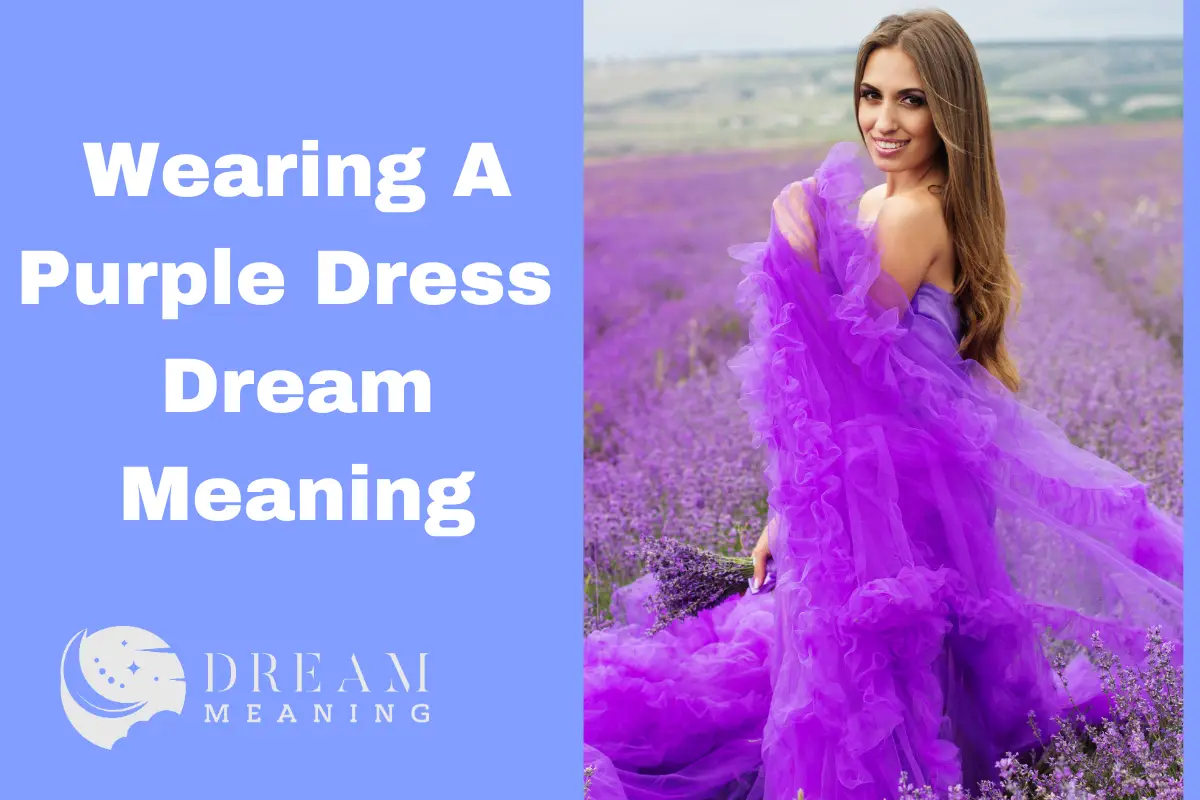 Wearing A Purple Dress Dream Meaning