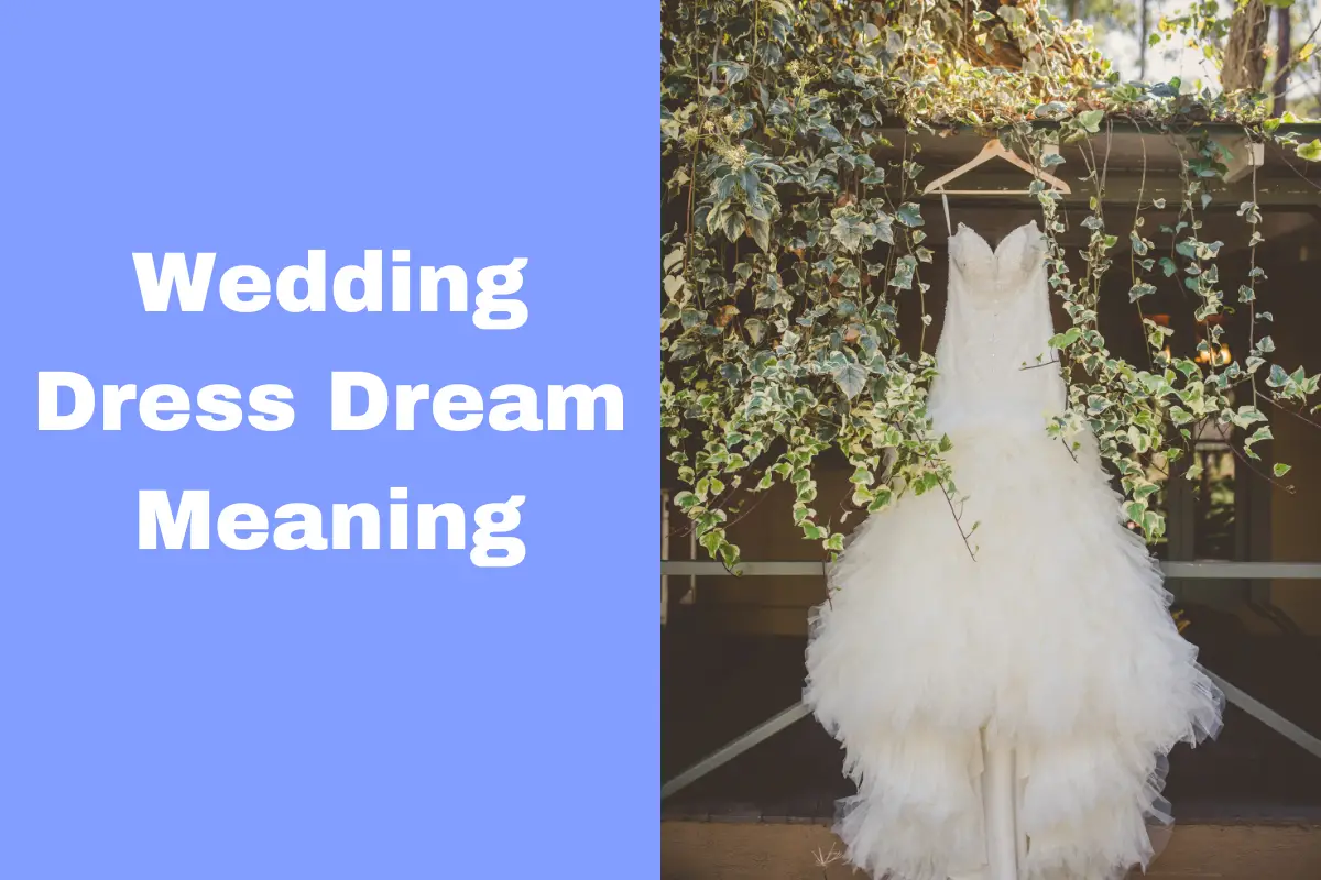 Wedding Dress Dream Meaning