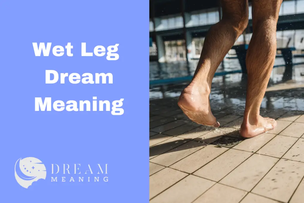 wet-leg-dream-meaning-what-does-it-really-mean-the-dream-meaning