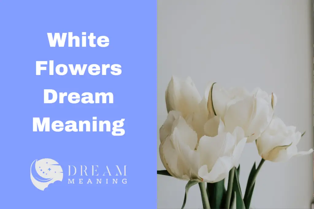 dreaming-of-white-flowers-the-meaning-behind-it-explained-the-dream