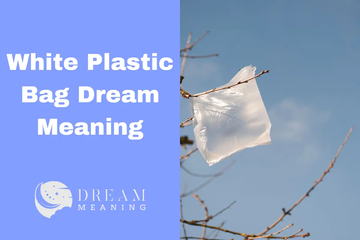 What Is The White Plastic Bag Dream Meaning? Uncovering the Symbology