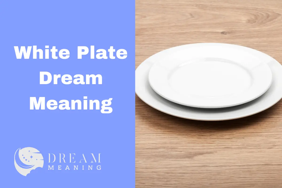White Plate Dream Meaning What Does It Mean When You See One? The Dream Meaning