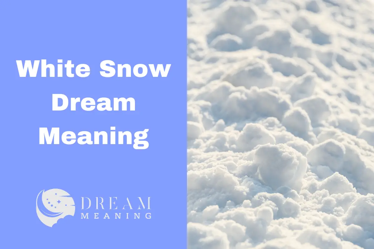 White Snow Dream Meaning