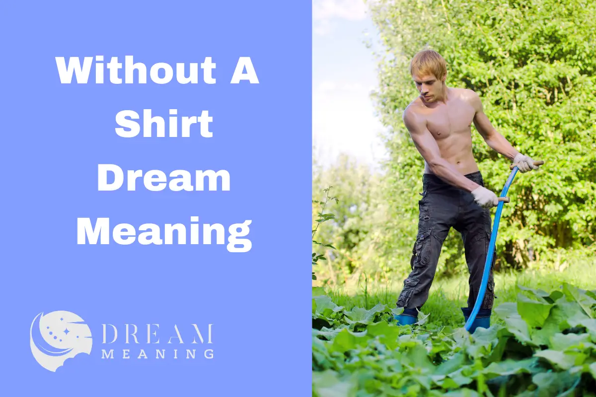 what-does-it-mean-when-you-dream-of-being-without-a-shirt-uncovering