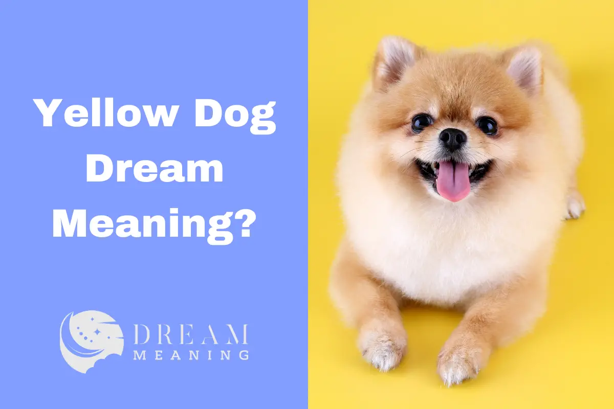 What Does A Yellow Dog Dream Mean? Unraveling The Mystery The Dream