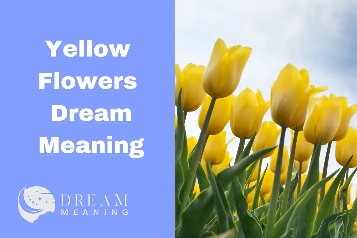 i-need-new-things-yellow-flower