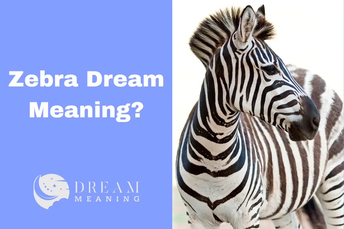 zebra-dream-meaning-a-comprehensive-guide-to-unravel-the-symbolic