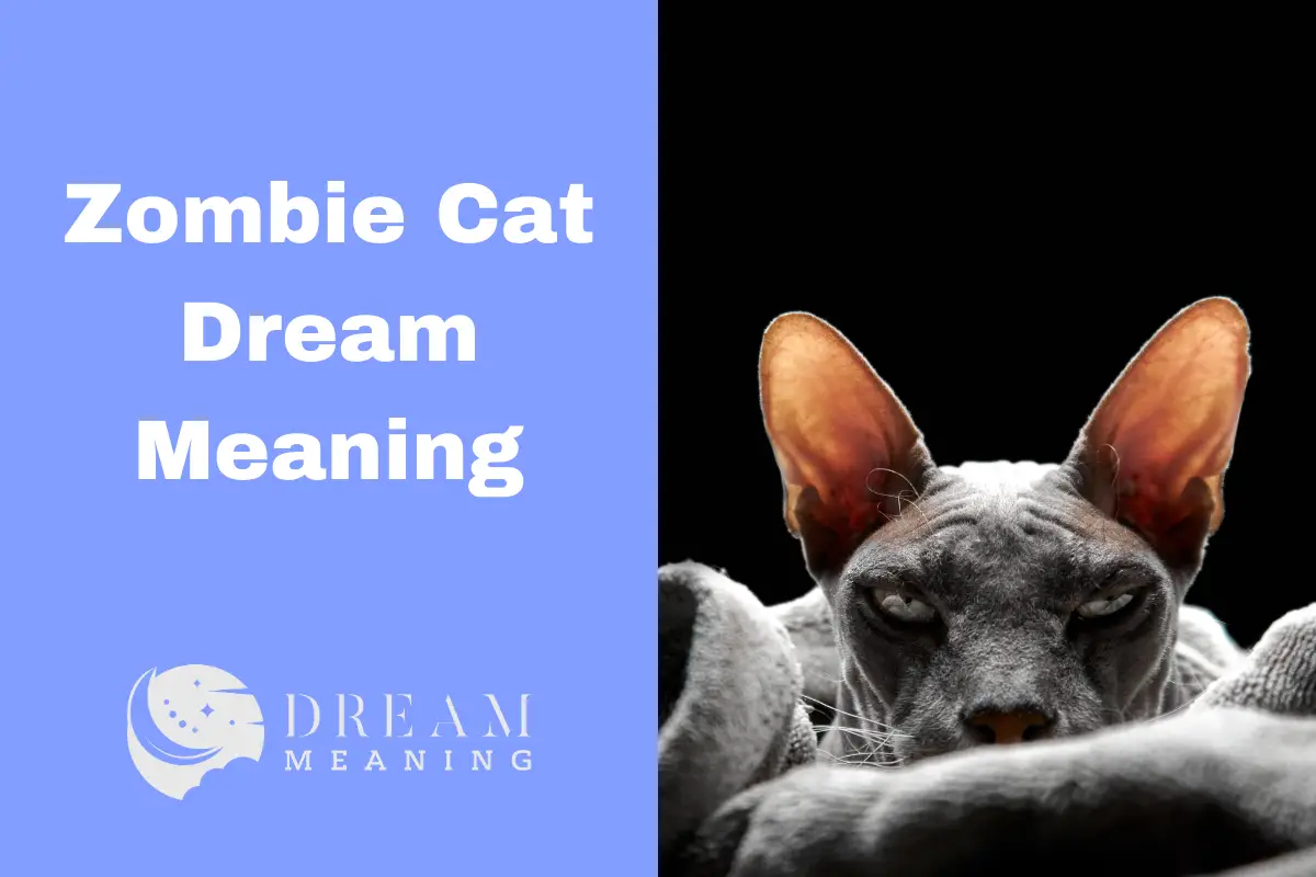 What Does It Mean To Dream About A Zombie Cat? Explore The Unusual